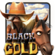 BlackGold Slot Game by Betsoft
